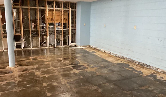 Room with water damage; wet concrete floor, exposed studs, damaged insulation, and blue walls with base deterioration.